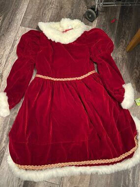 Mrs. Claus Santa Christmas Dress Medium Price is FIRM